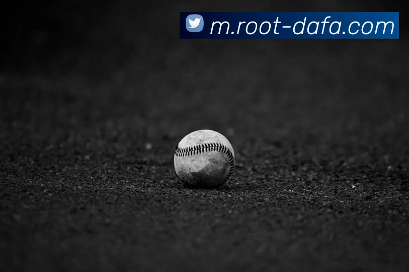 大发彩票APP 体育赛事宣传图